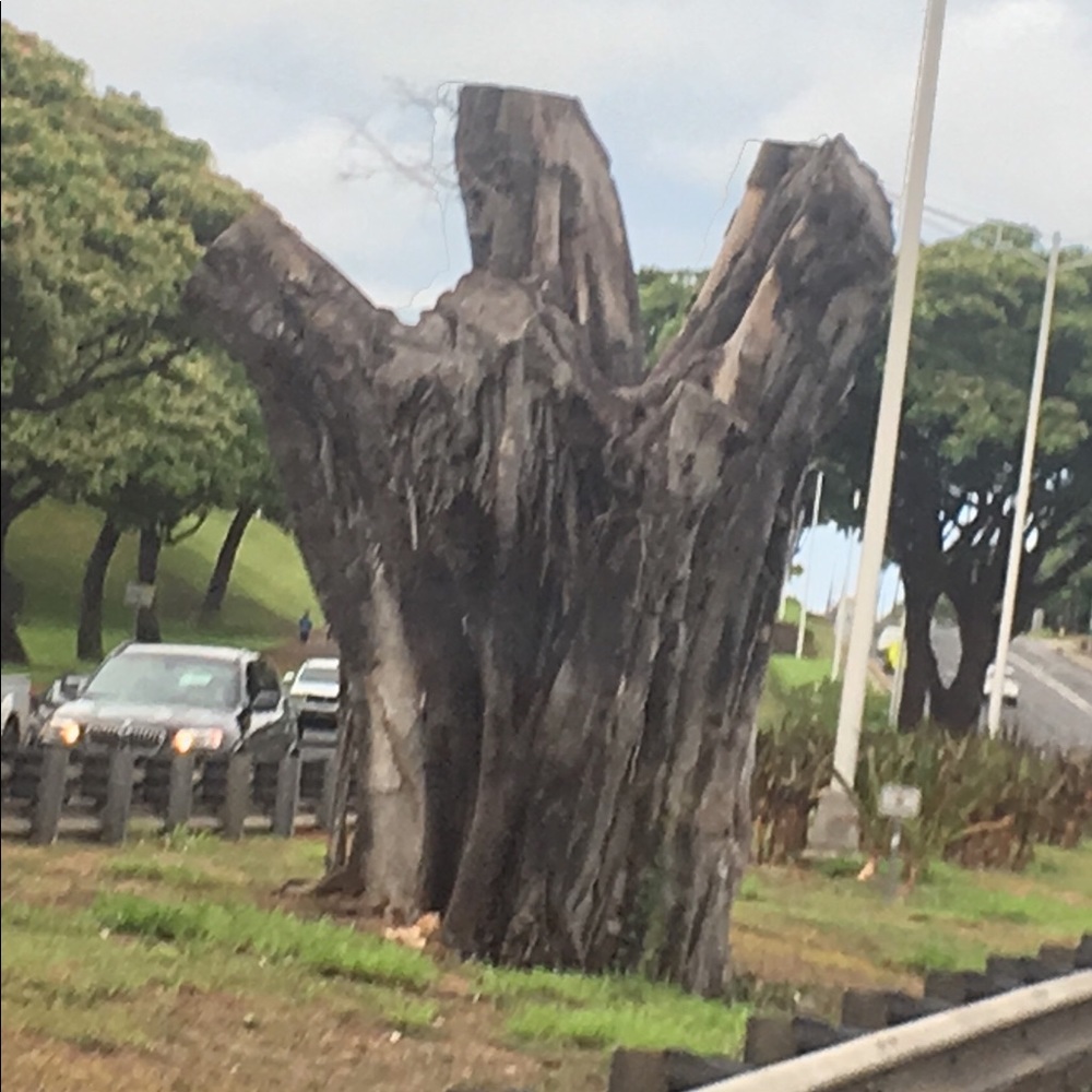 Meet your Posher, Alterise